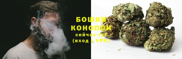 спайс Карпинск