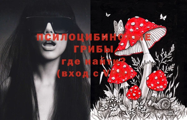 спайс Карпинск
