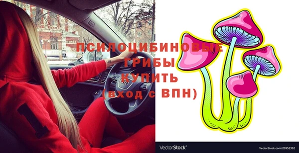 спайс Карпинск